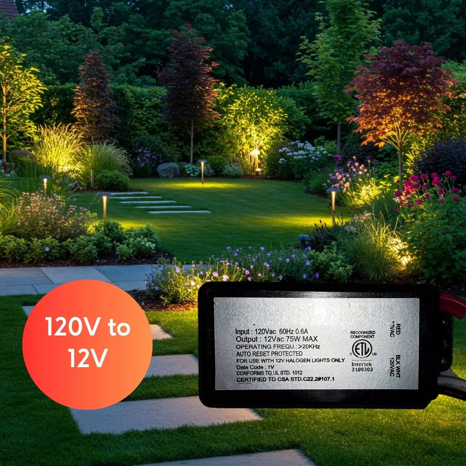 75W Potted Halogen Lamp New Transformers