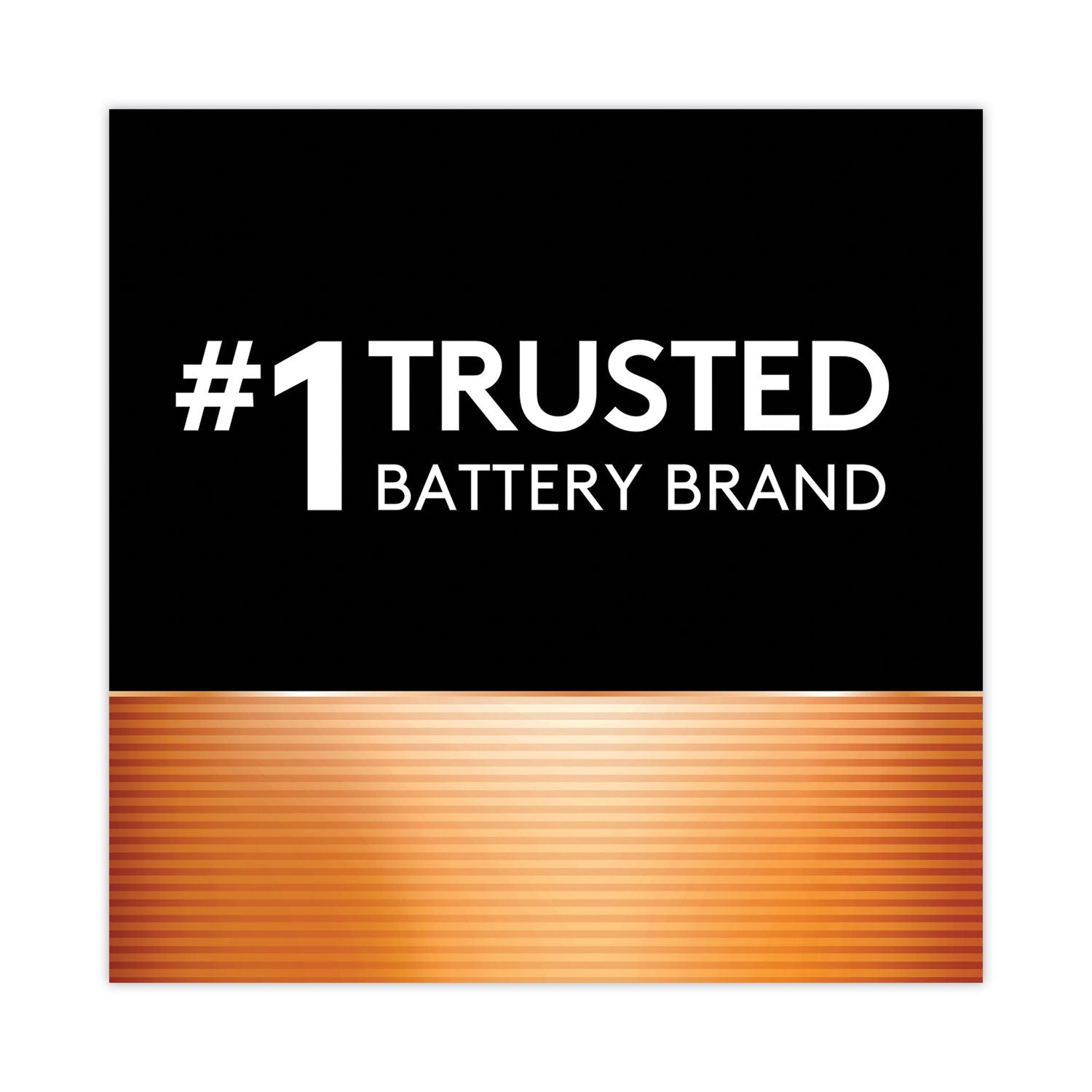 Duracell Power Boost CopperTop Alkaline AAA Batteries, 8/Pack, 40 Packs/Carton