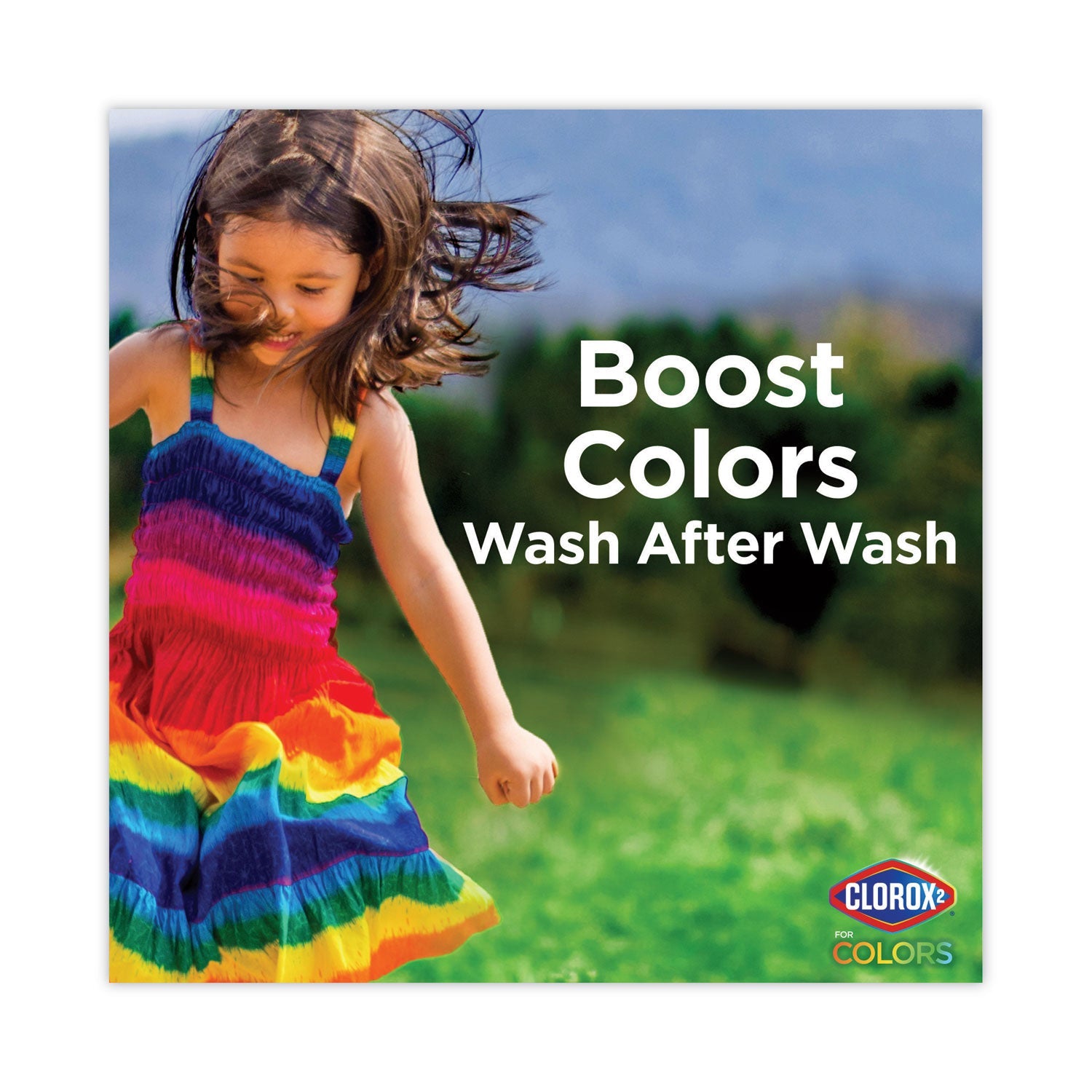 Clorox 2 Stain Remover and Color Booster, Regular, 33 oz Bottle, 6/Carton