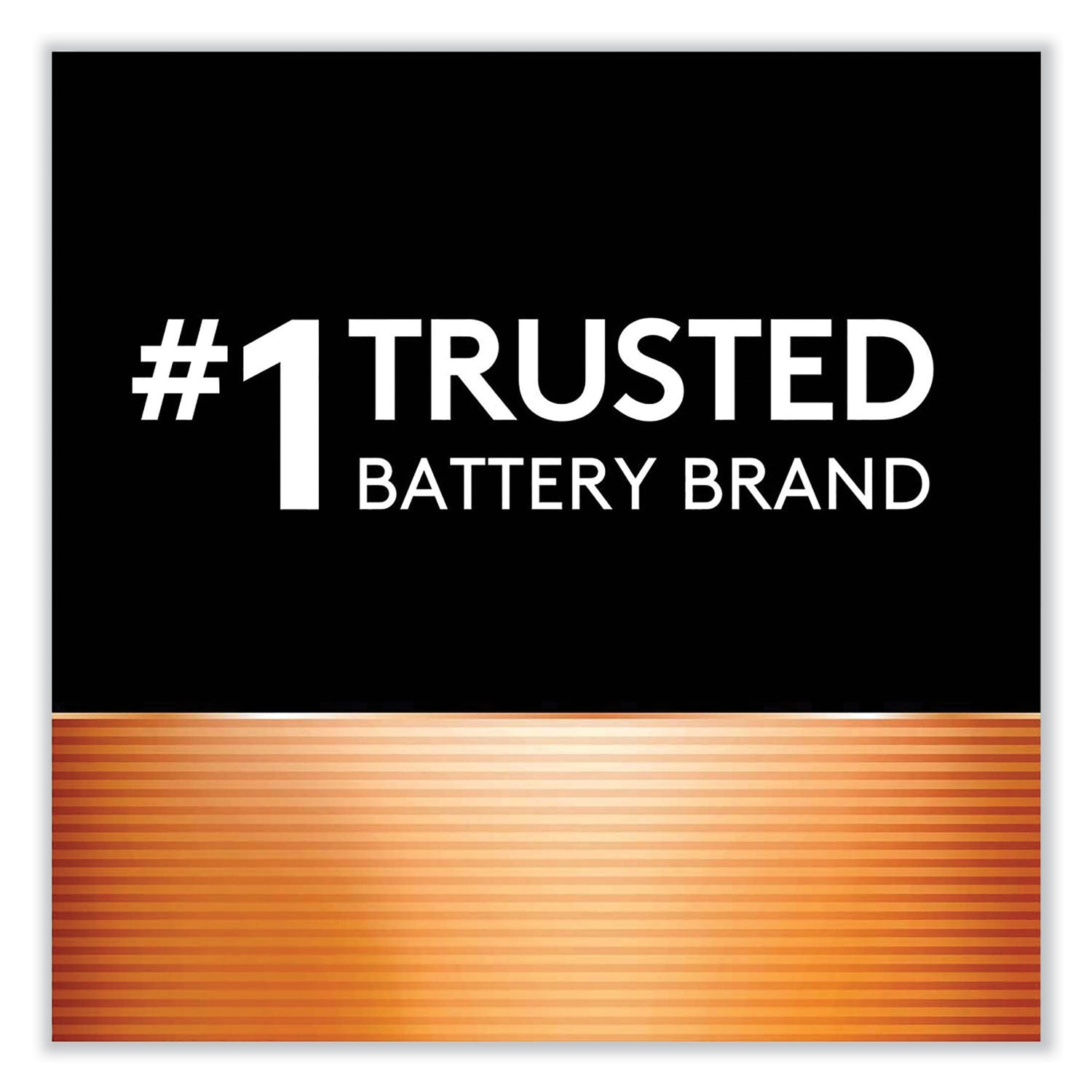Duracell Lithium Coin Batteries, 2025, 2/Pack